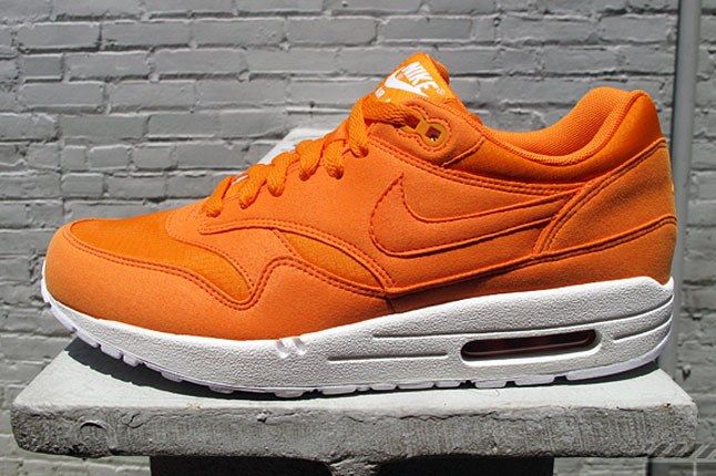 nike air max 1 ripstop