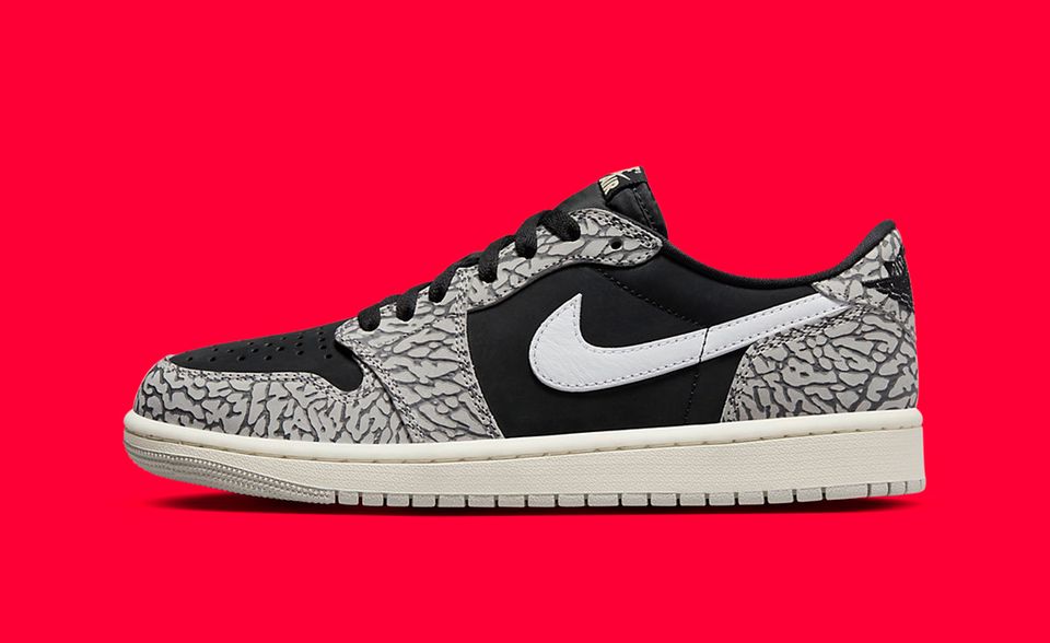 jordan 1 x carpet company