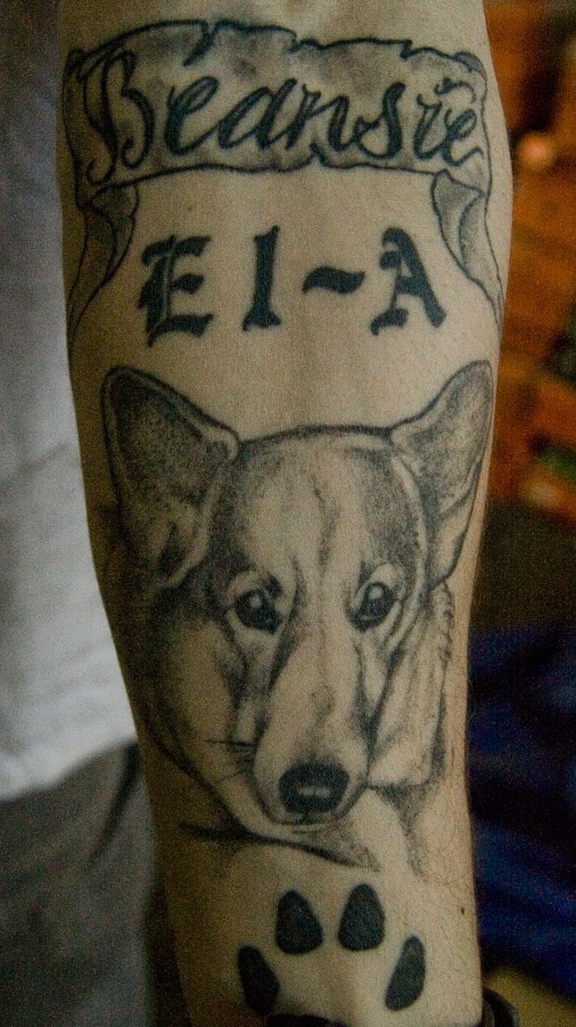 Corgishoe Interview 29