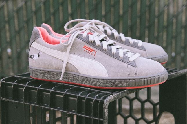 puma pigeon staple