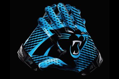 Carolina Panthers Glove 1