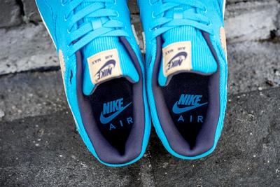 Nike Nike Air Max 95 Persian Violet DO5960-100 Baltic Blue FB8915-400