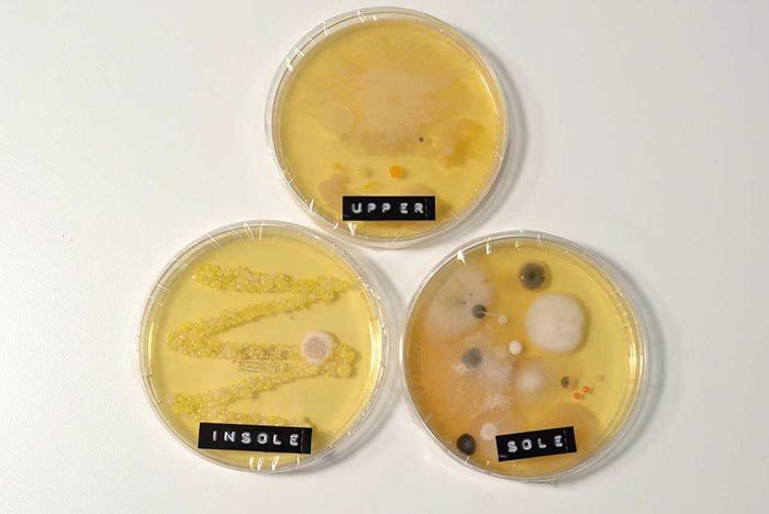 air force 1 no socks