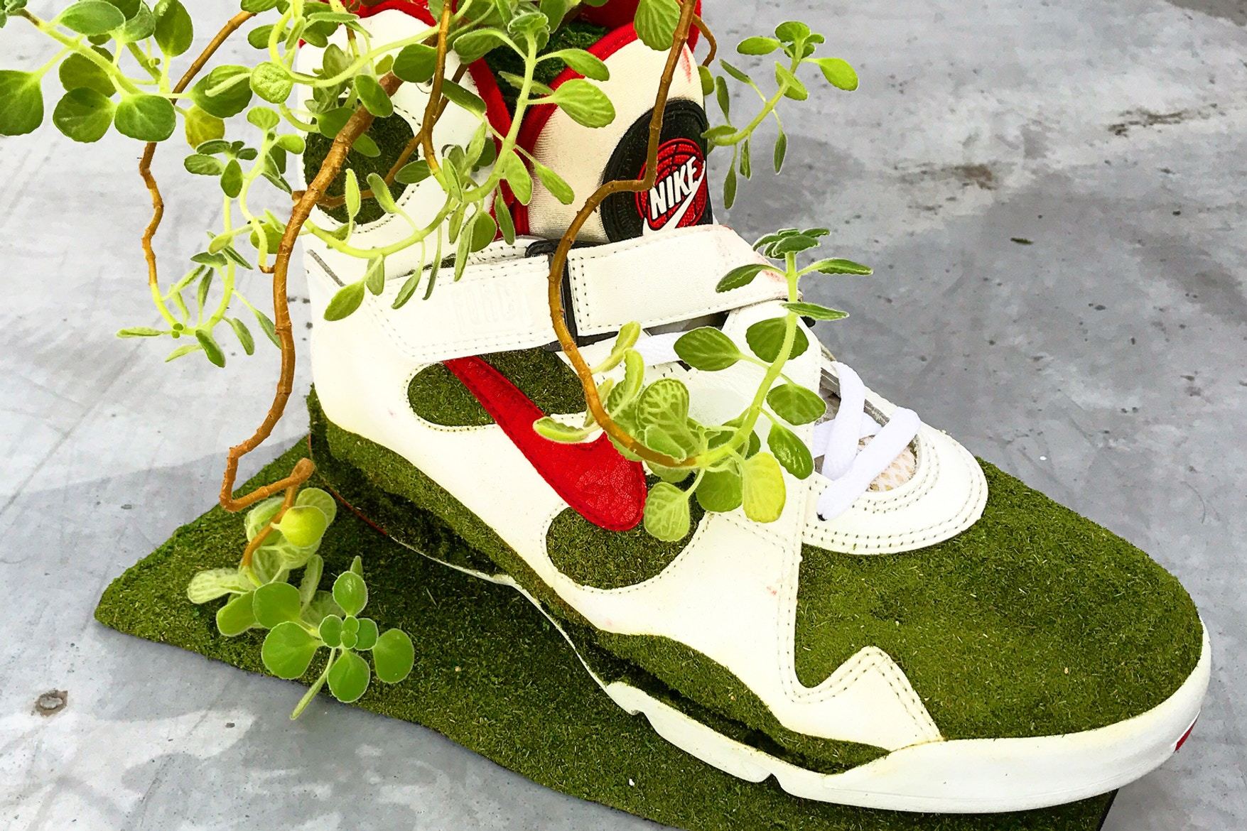 Artist Shoetree Nike Sneakers Sculptural Houseplants 3