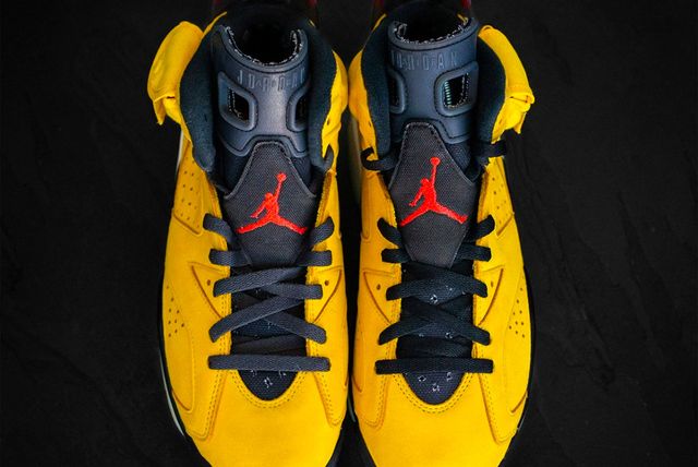 retro 6 jordans chameleon