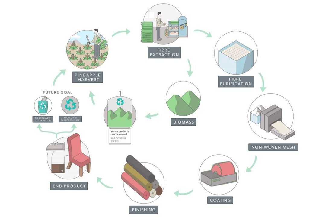 Pinatex Production Process