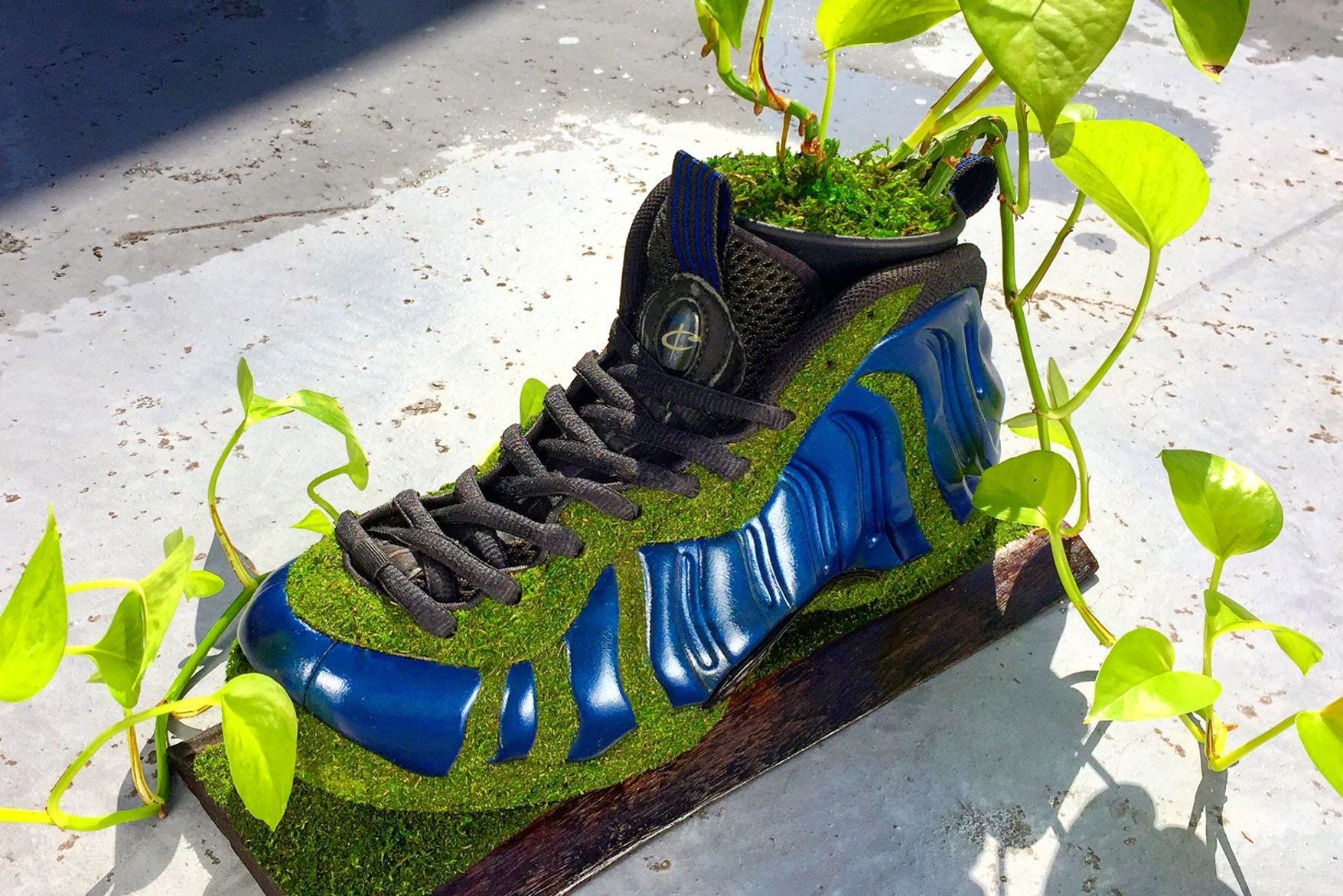 Artist Shoetree Nike Sneakers Sculptural Houseplants 1