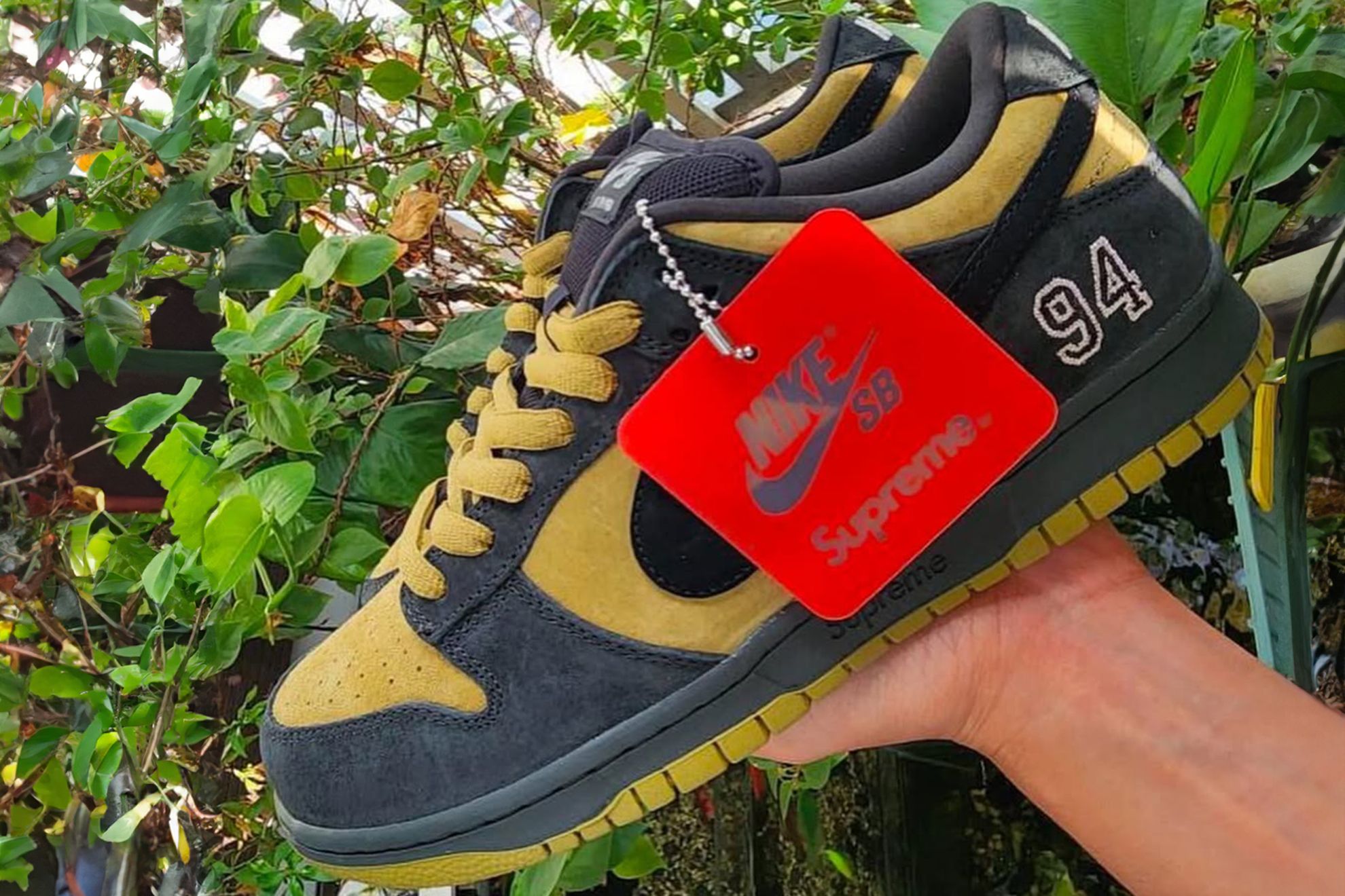 Supreme