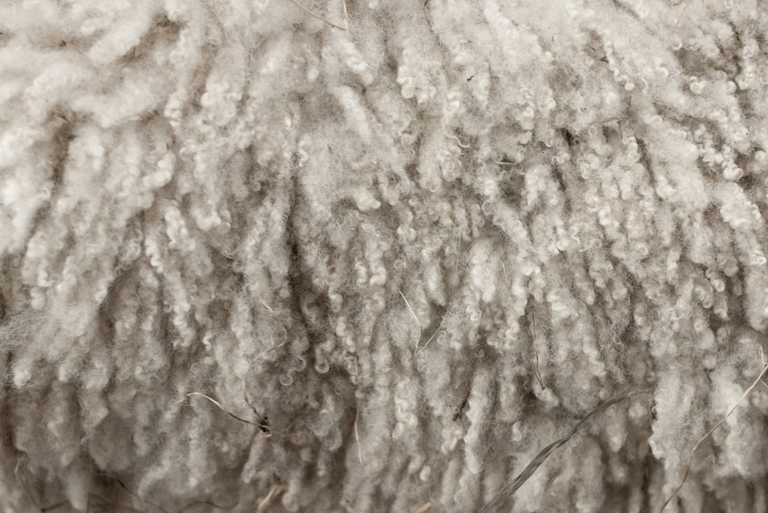 Material Matters History Of Wool Sneakers Wool 1