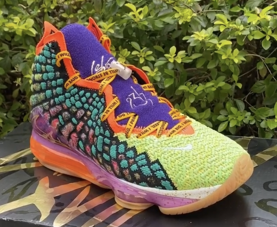 rainbow lebron 17