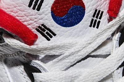 Nike Air Air Jordan 3 Seoul Release Date 12