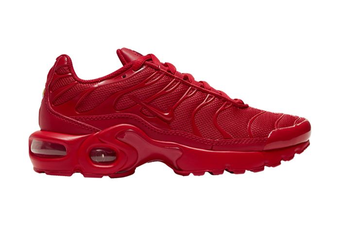 Nike Cover the Air Max Plus in Red 