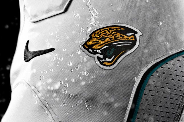 Jacksonville Jaguars Details 1