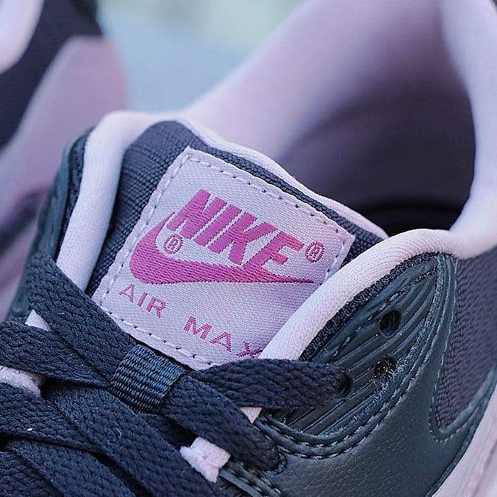 Air max shops 90 plum chalk