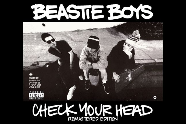 Check Your Head 2