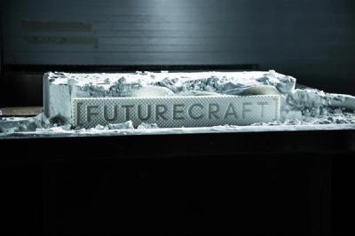 Adidas Futurecraft 3D 21