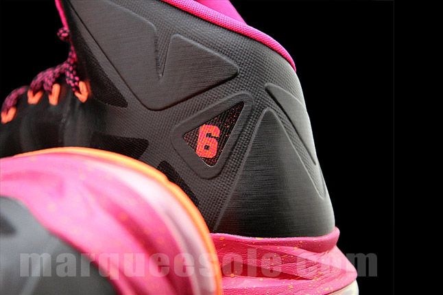 Floridian hotsell lebron 10