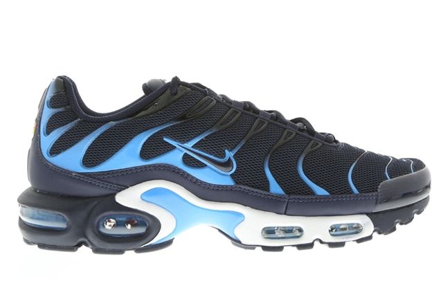Nike Air Max Plus (Obsidian And Blue) - Sneaker Freaker