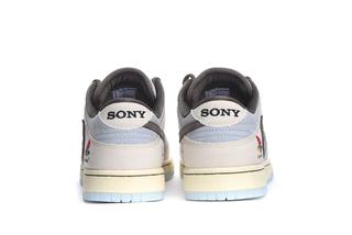 ts5 dunks