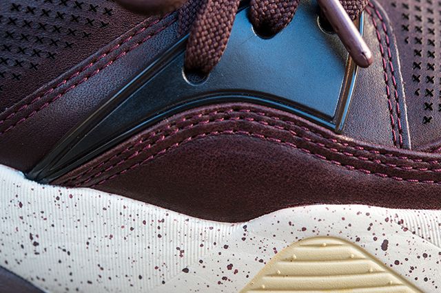 Limitedition X Puma Blaze Of Glory Chestnut 13