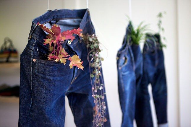 Plant Jeans 1