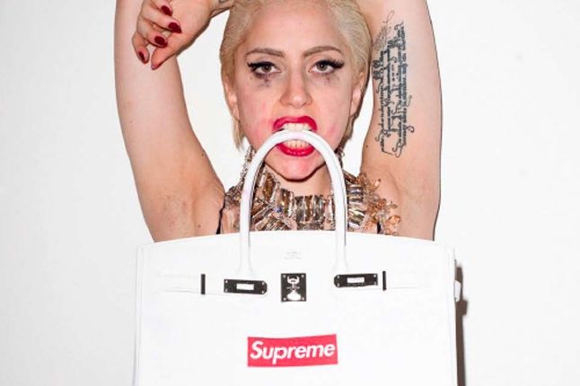 Lady Gaga Supreme Terry Richardson 1 1