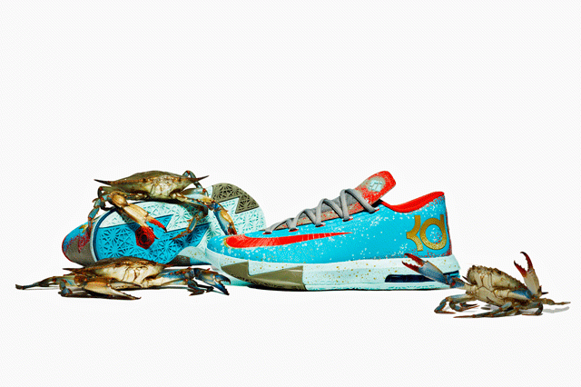 Nike Kid Vi Maryland Crabs