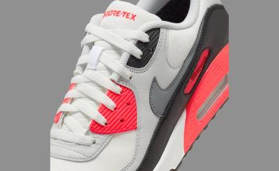 Nike Air Max 90 GORE-TEX 'Infrared'