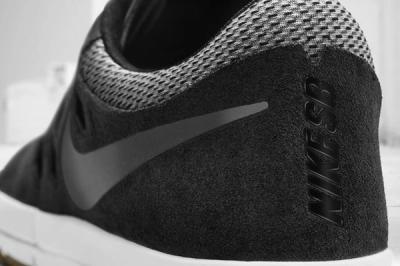 Nike Sb Free Shoe 2