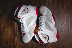 aj7 hare