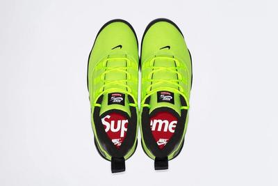 Supreme x Nike SB Air Darwin