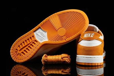 Nike Sb Dunk Circuit Orange 1