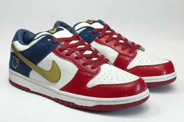 Nike Dunk Sample Lebron Sample 1