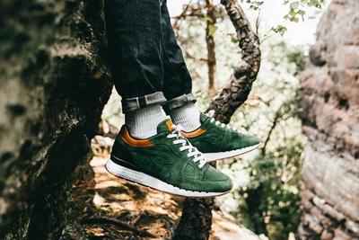 Kangaroos Coil R1 Mighty Forest 1