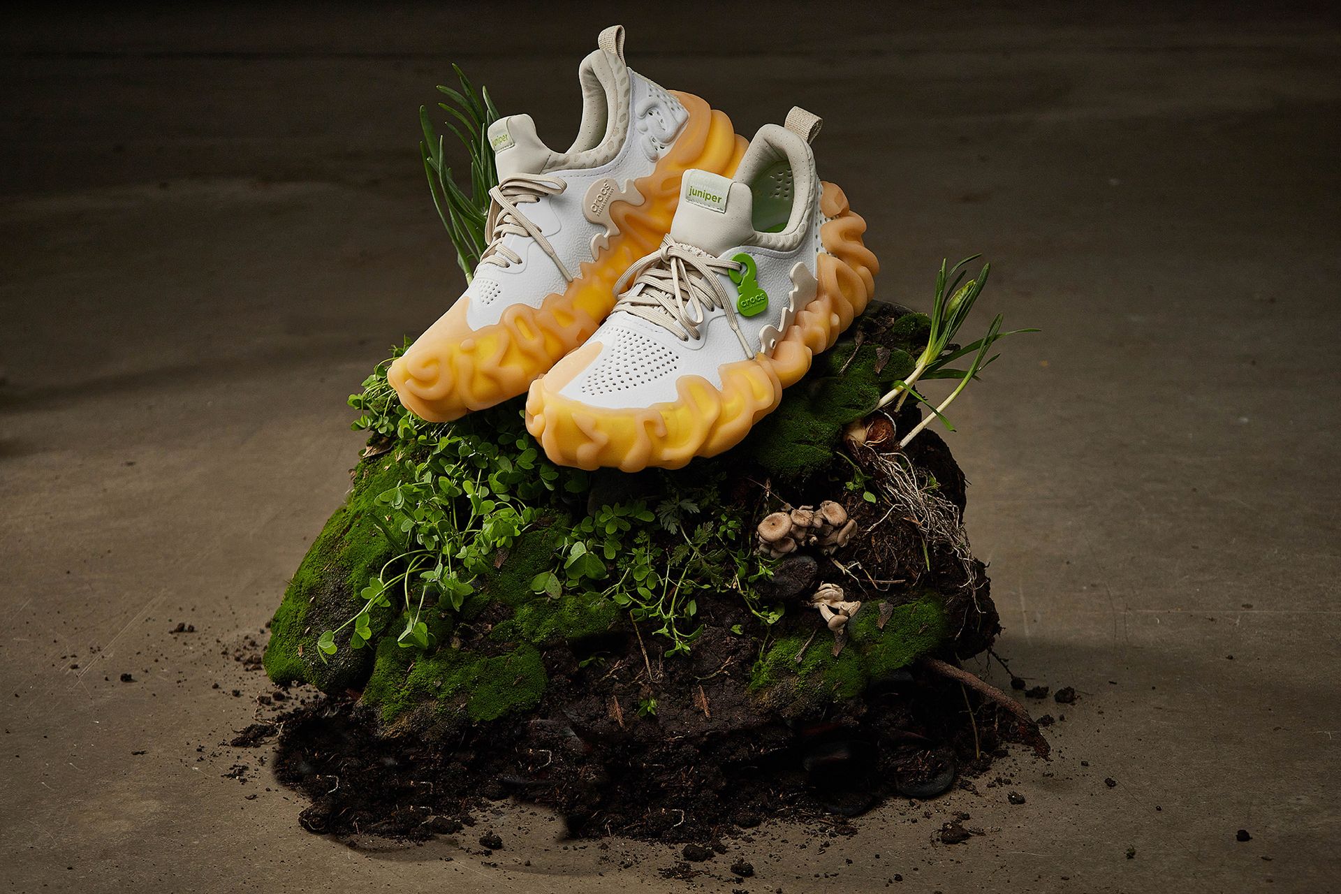 8e4c806269aba124df18659302e30429b236fa44