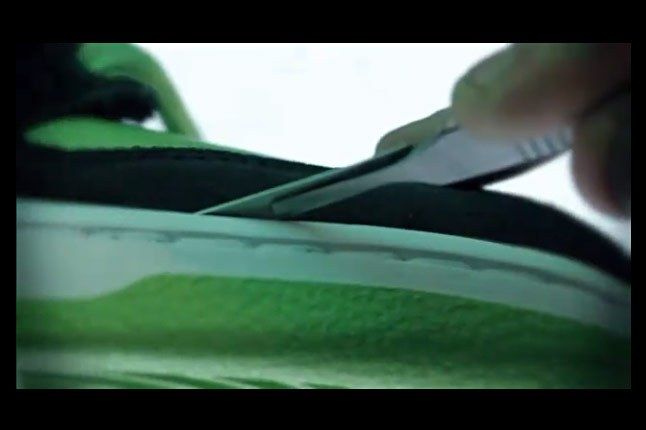 Nike Dunk Sb Autopsy 1