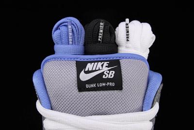 Premier Nike Sb Dunk Low 02 1