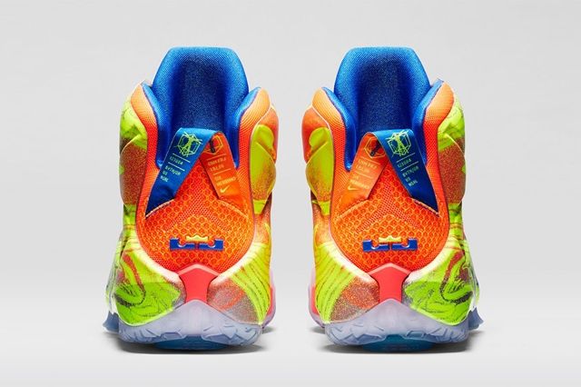 Nike Lebron 12 Six Meridians Bump 2