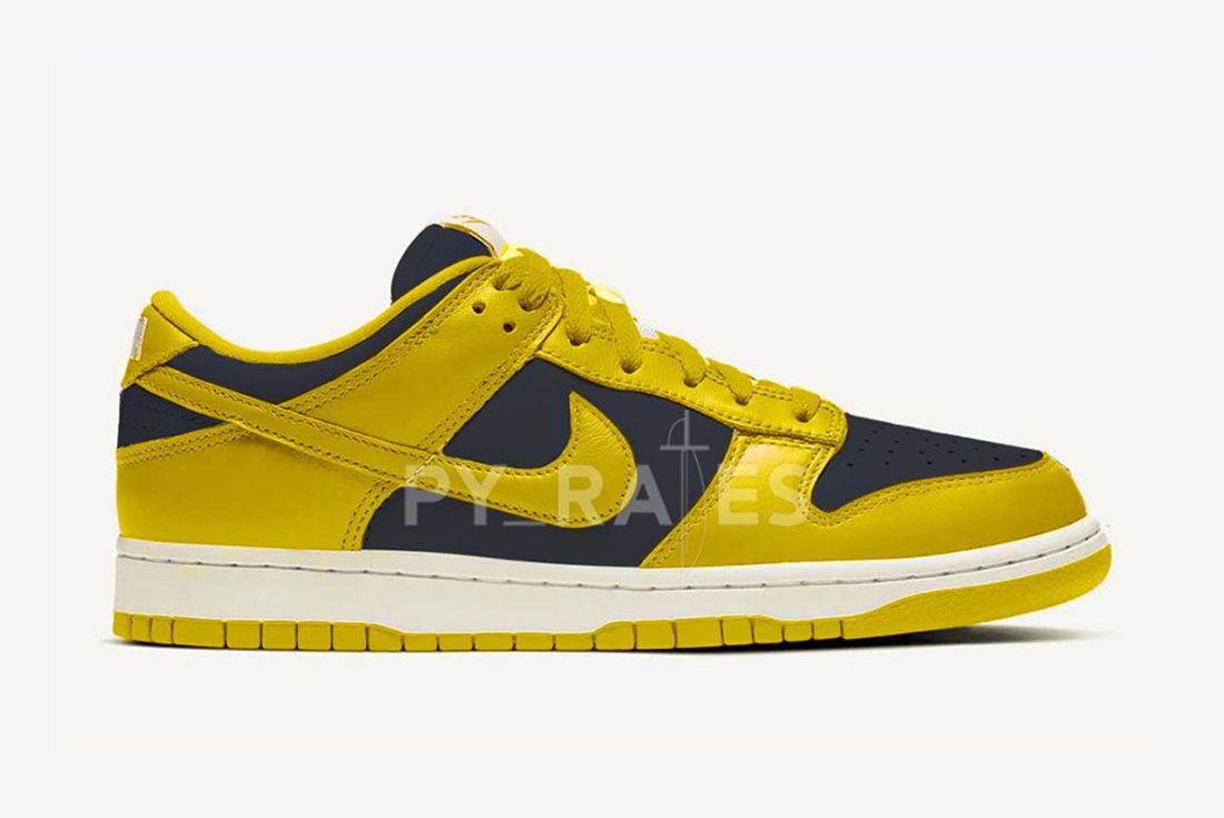 Nike Dunk Low Right