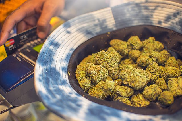 Akomplice Marijuana For The Future Collection 16