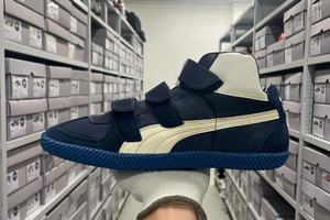 Beneath the Surface the Reawakening of the PUMA Mostro