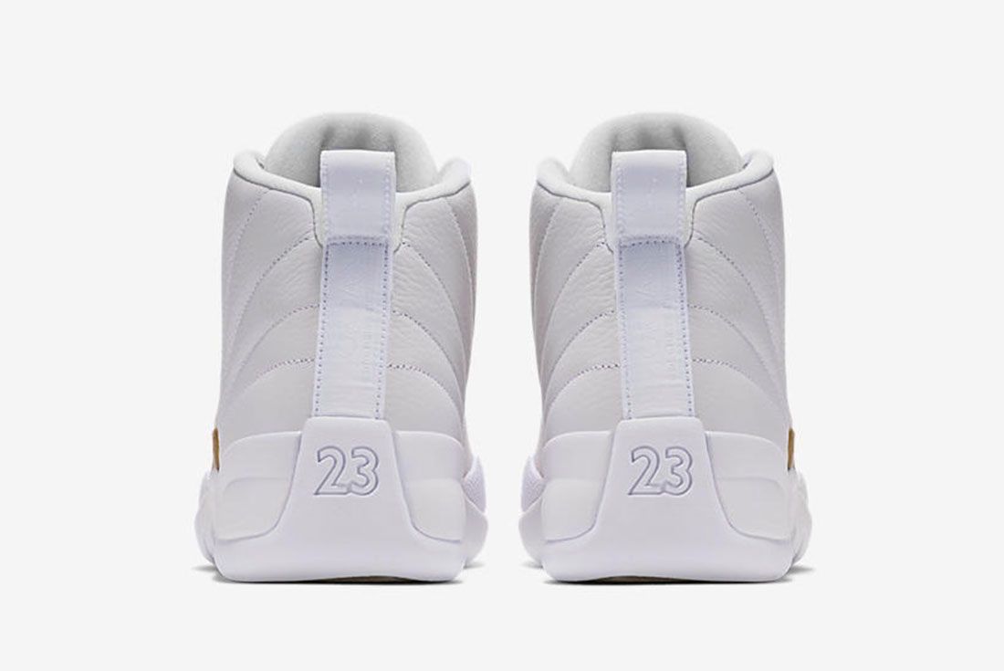 drake jordan 12