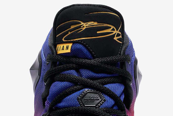 Nike Lebron 13 Doernbecher Freestyle Collection 20159