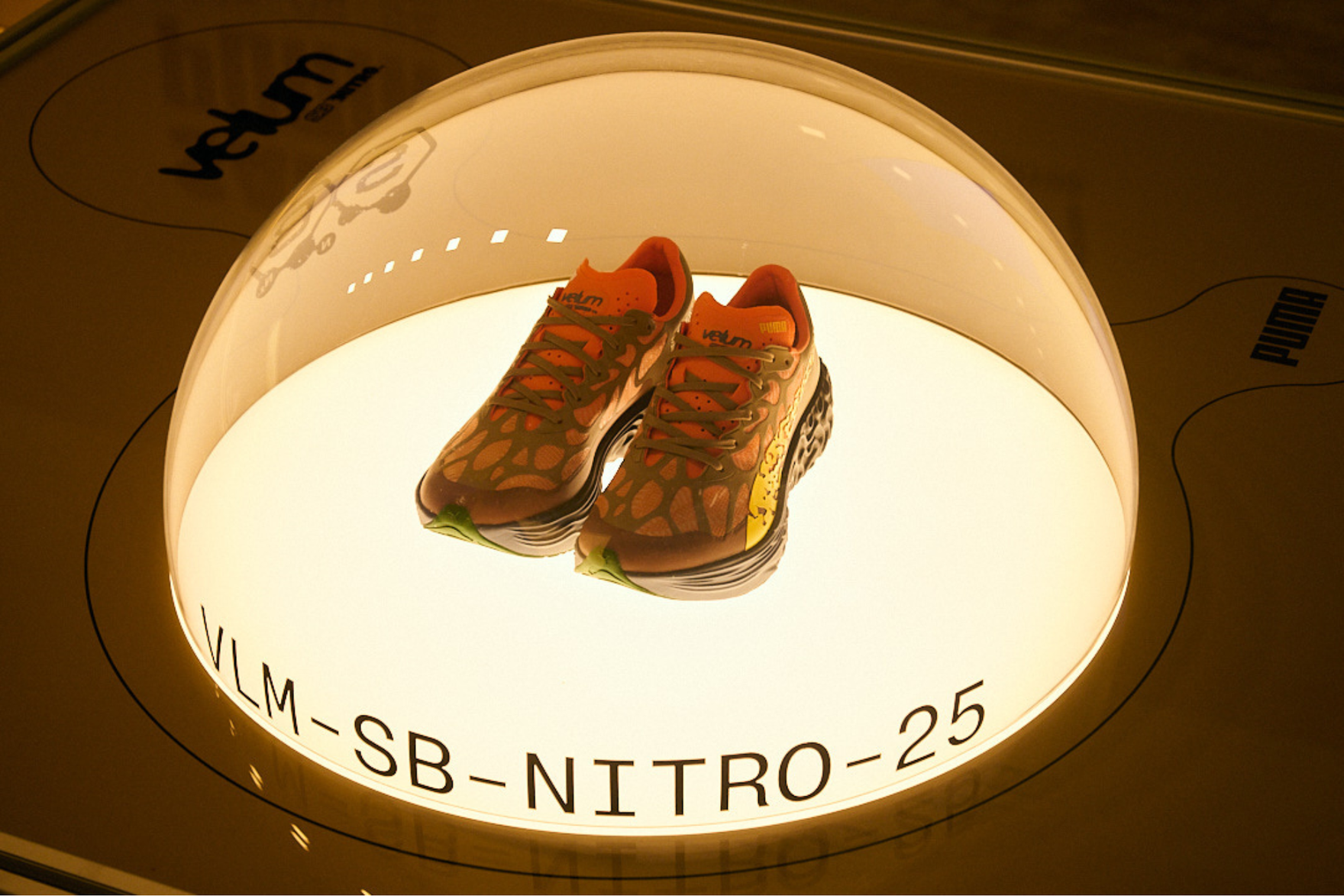 a sneaker in a glass dome