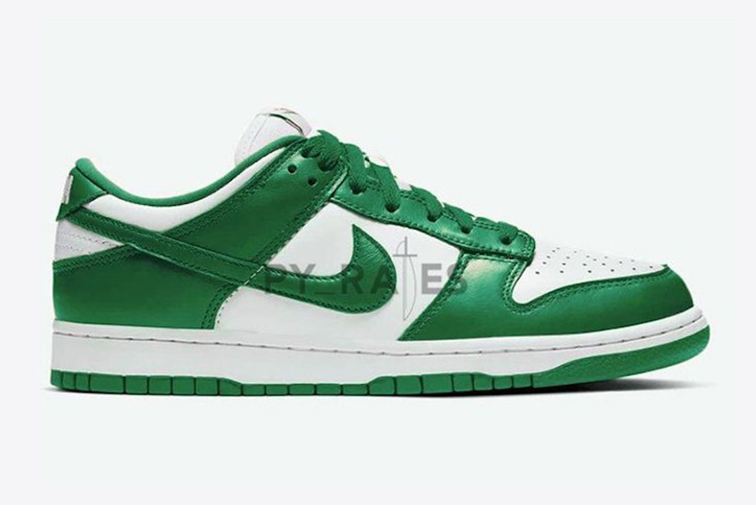Nike Dunk Low Right