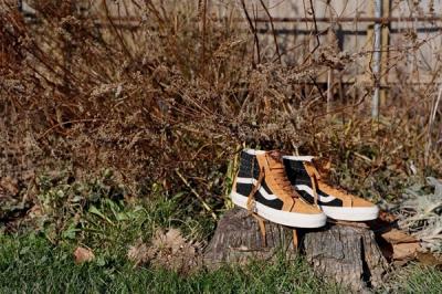 Dqm For Vans Wovens Collection Sk8 Hi Holiday 2012 Log 1