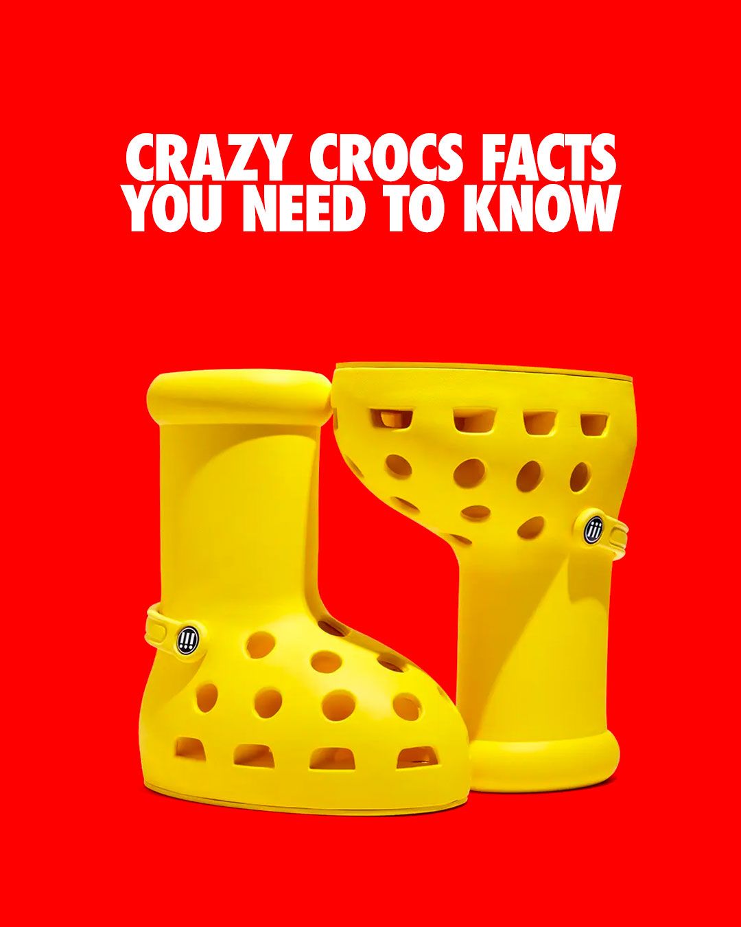 Facts hotsell about crocs