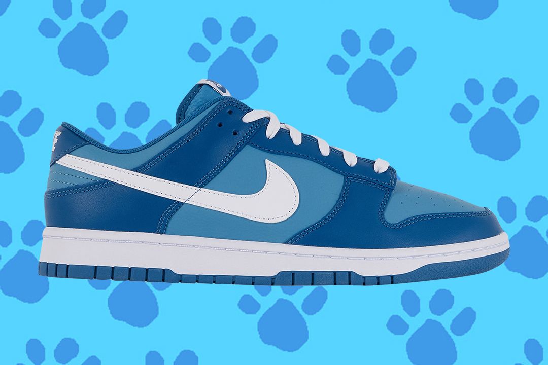 Nike Dunk Low Blue