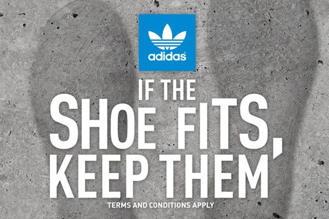 If The Shoe Fits Adidas 646 1