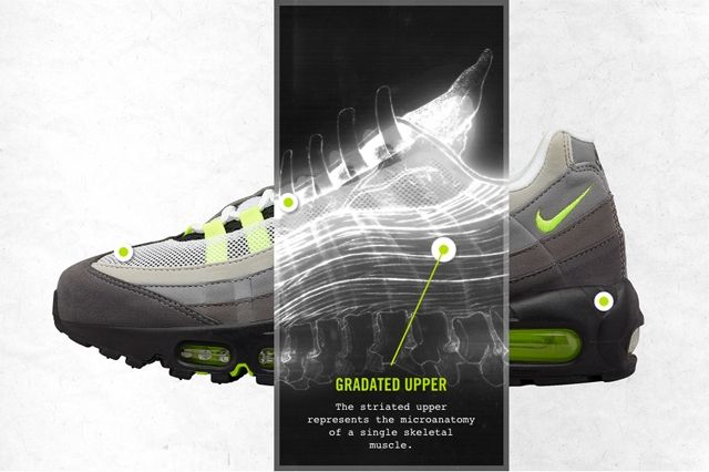 Anatomy Of Air: Air Max 95 - Releases